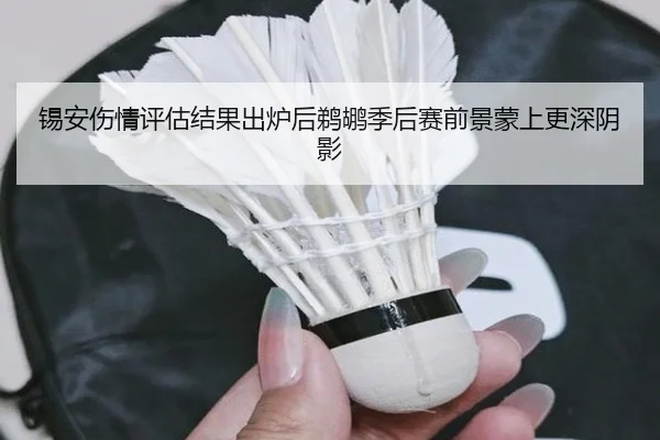 锡安伤情评估结果出炉后鹈鹕季后赛前景蒙上更深阴影